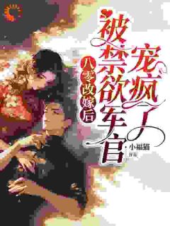 穿书带娃成寡妇，逆袭打脸走上巅峰