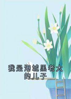 我是港城黑老大的儿子