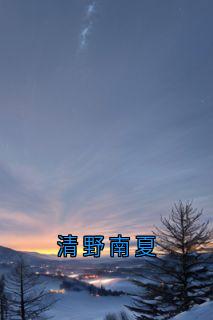 清野南夏