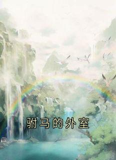 驸马的外室